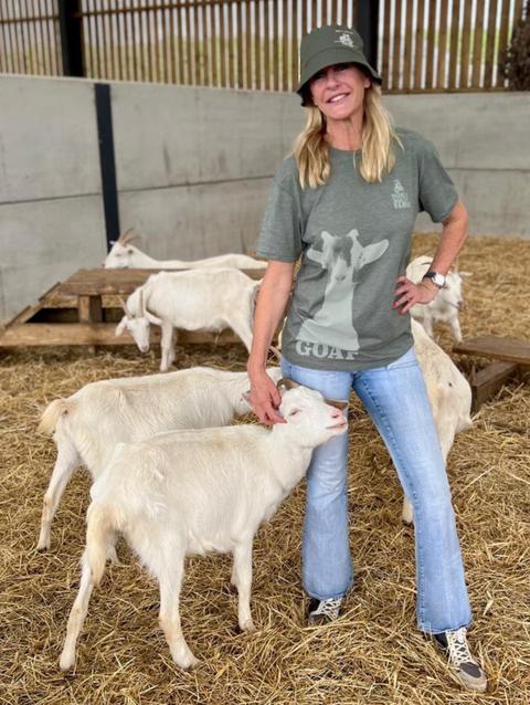 Diddly Squat Farm Goat Shirt - Green