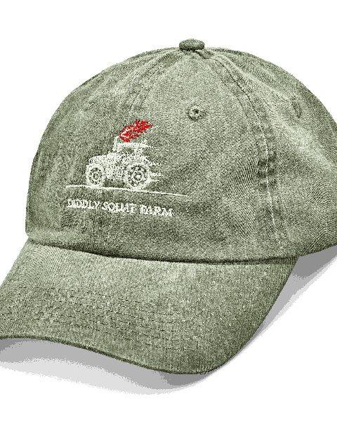 Diddly Squat Farm Green Cap - One Size